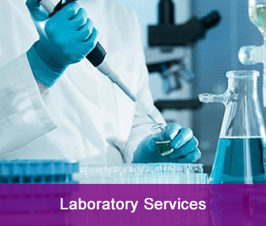 Laboratory Services 1.0 (2)