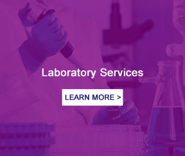 Laboratory Services 2.0 (2)